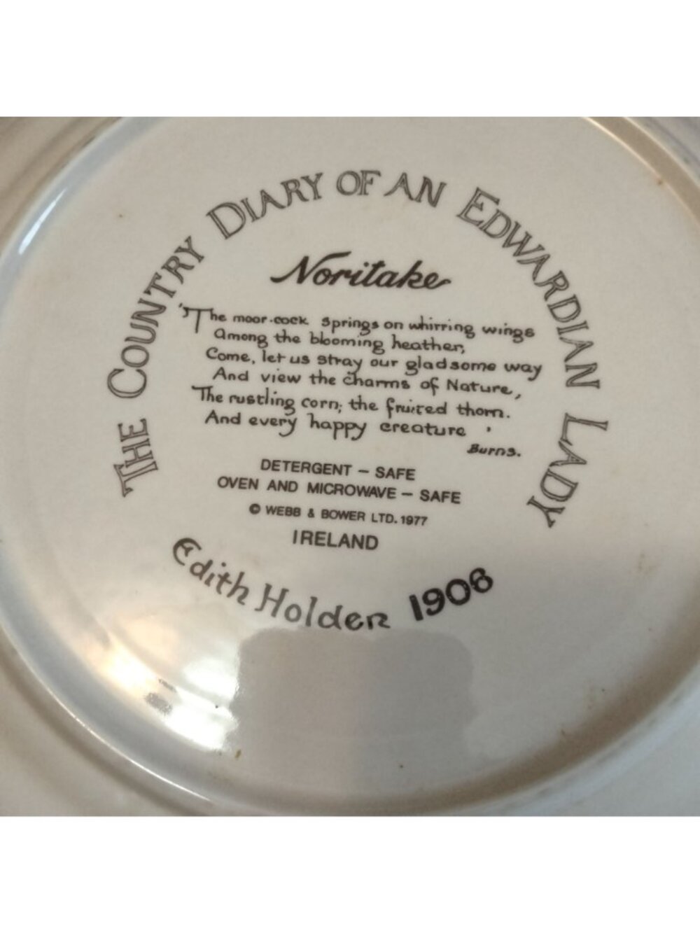 Noritake of Ireland Country Diary of An Edwardian - Picture 13 of 14